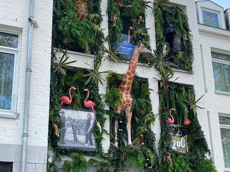 Junglegevel met giraffen, flamingo's en groen als themabeelden op een gevel in Kerkrade
