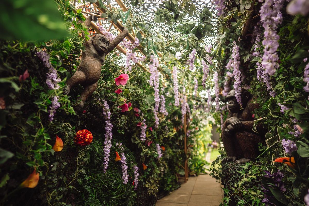 Jungletunnel met bloemen en apenbeelden
